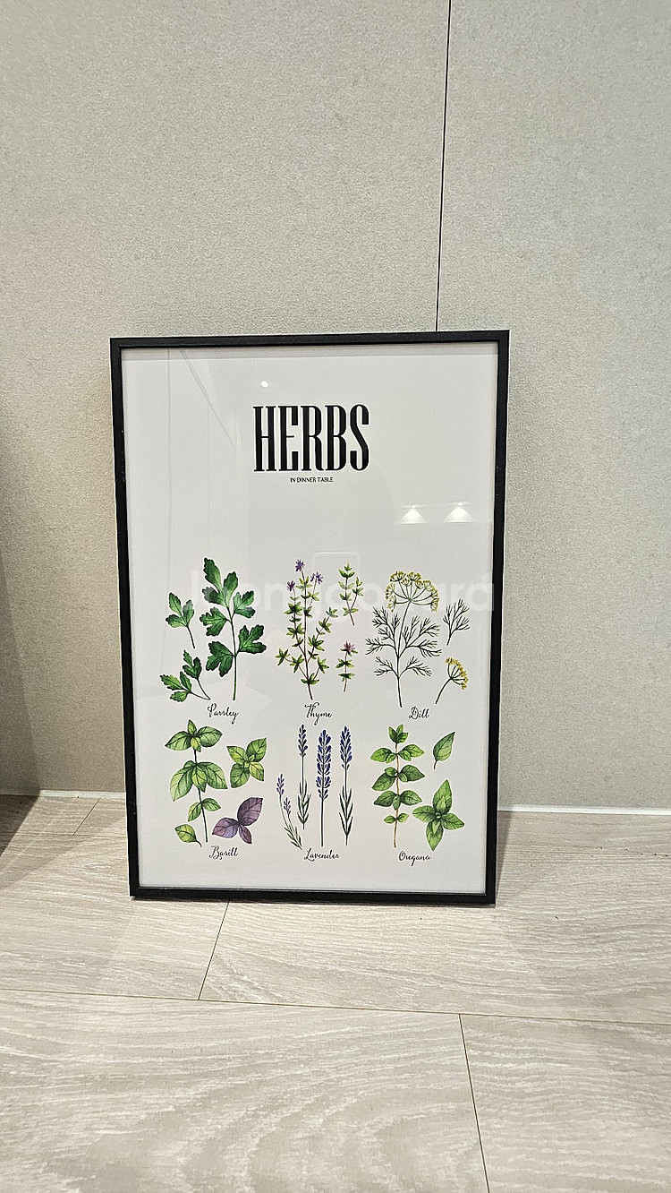 인테리어 예쁜 식물액자 팝니다.--2